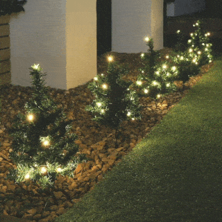 Luminile interioare / exterioare ale traseului pomului de Crăciun