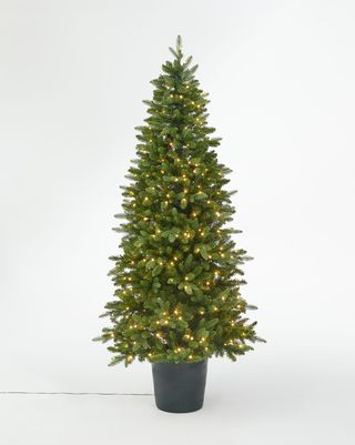 Rozsvietený vianočný stromček v zelenom hrnci, 7 stôp