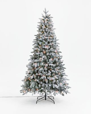 Smrekový vianočný stromček, 7 stôp