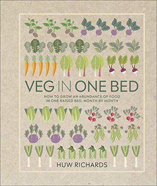 Zelenjava v eni postelji: Kako povečati količino hrane v eni dvignjeni postelji, mesec za mesecem