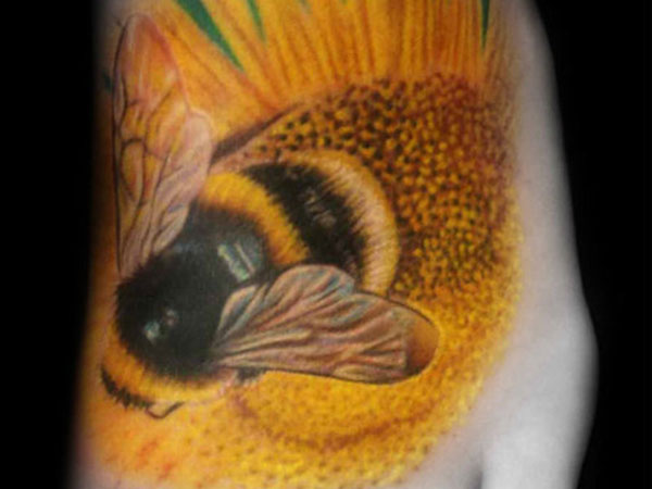 Albine de floarea-soarelui