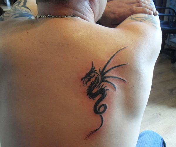 Tatuaj de dragon tribal proaspăt