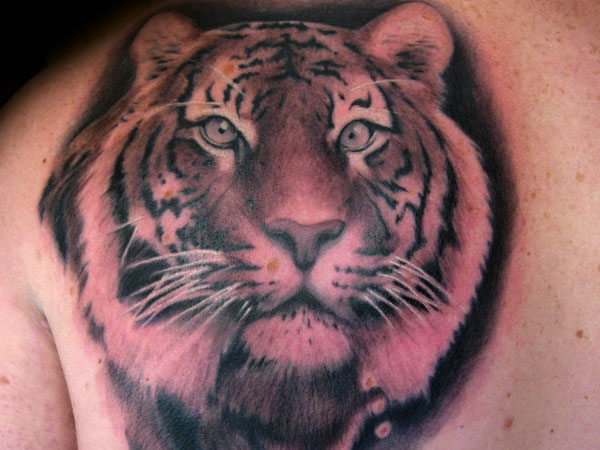 Serene Tiger Tattoo
