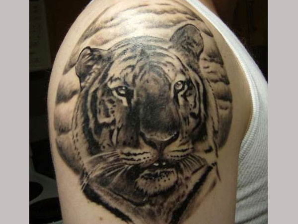 Spokojna tetovaža tigra