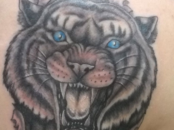 Shrani Tiger Tattoo