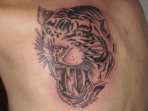 Tetovaža glave tigra