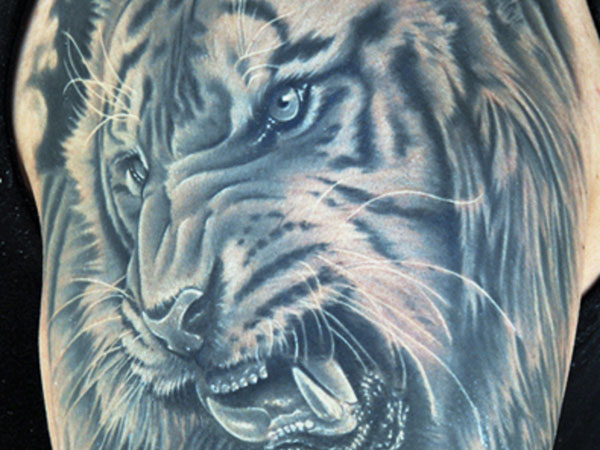 Simbolična tetovaža tigra