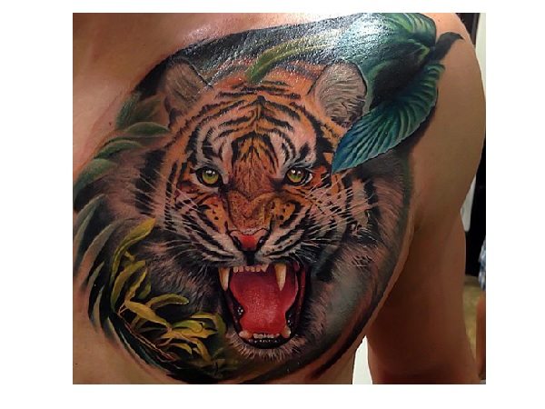 Tigrov renčanje s tetovažo ptic in trave