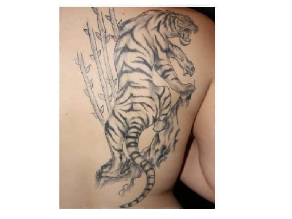 Sivi črnilni tiger s tetovažo iz bambusa