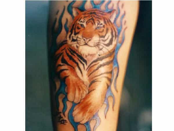 Barvna tetovaža tigra s tetovažo modre črte