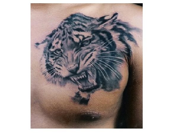 Tetovaža mladega tigra s sivim črnilom