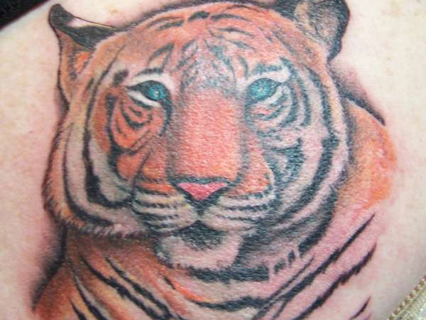 Tetovaža ramenskega tigra