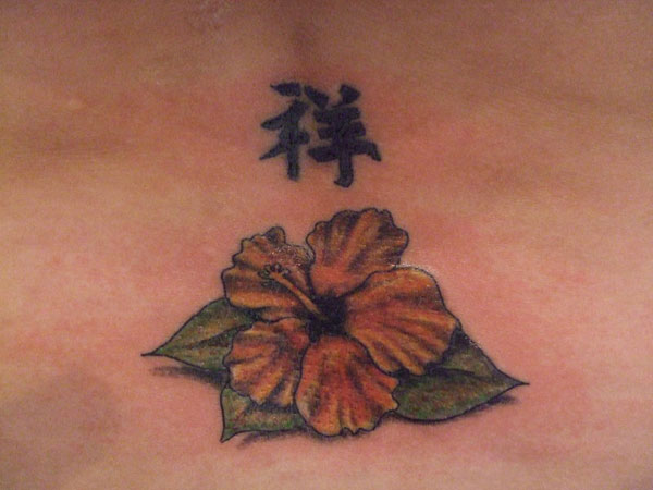 Ibiškový kvet a čínsky symbol
