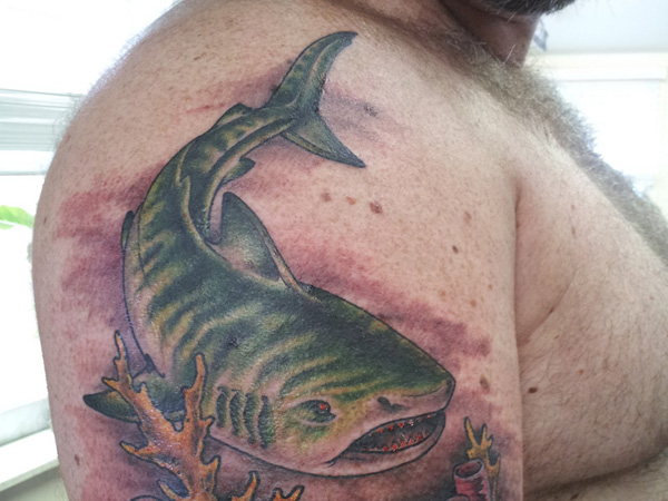 Ogromna tetovaža tigrastega morskega psa
