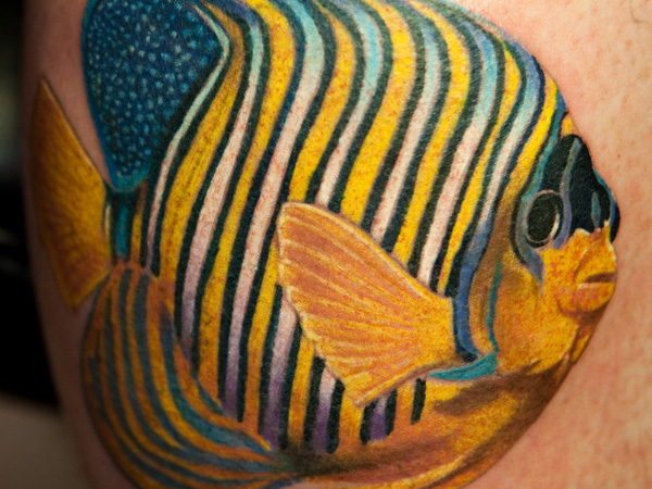 Barvita tetovaža tropskih rib