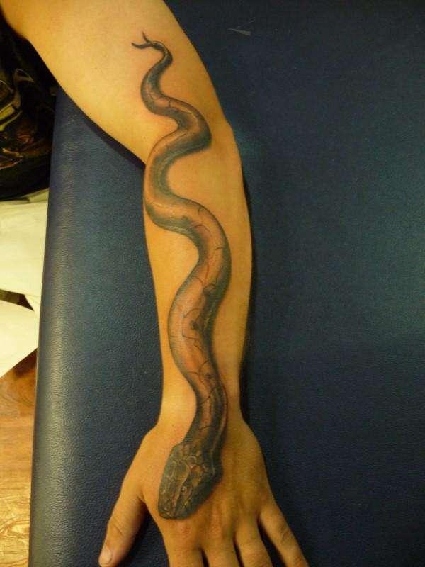Crolling Snake Tattoo