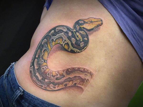 Snake Scar