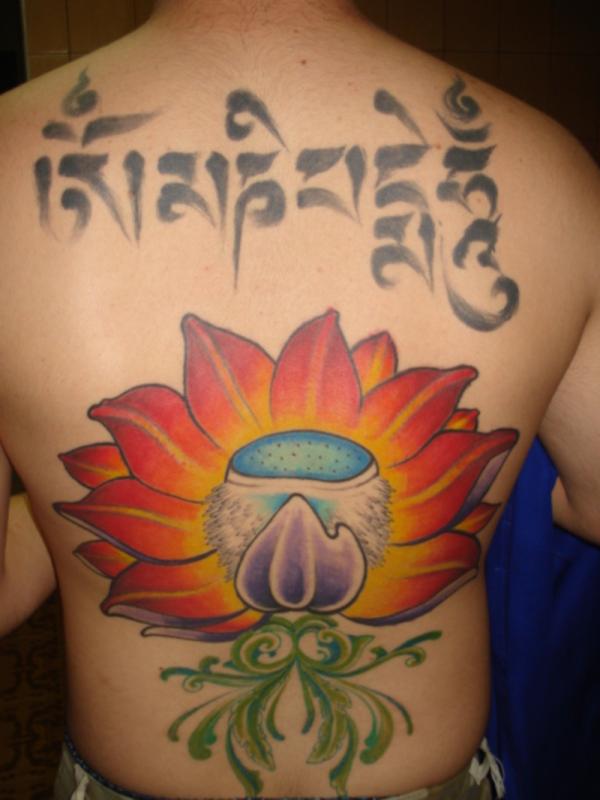 Moj hrbet Lotus