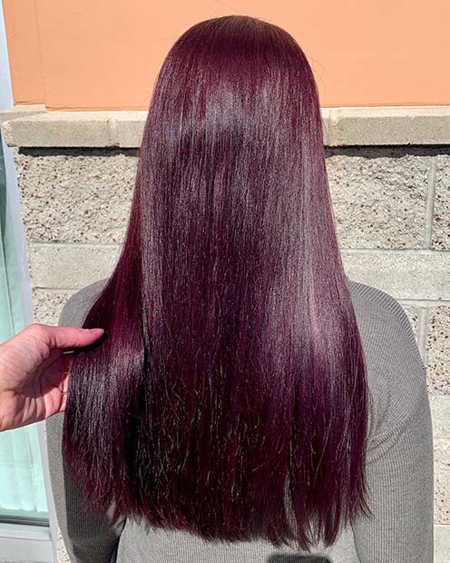Lepi vijolični lasje