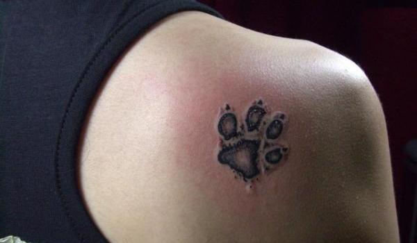 Tetovanie psích labiek