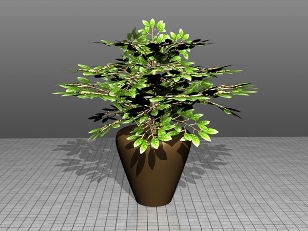 Kako modelirati rastlino v loncu