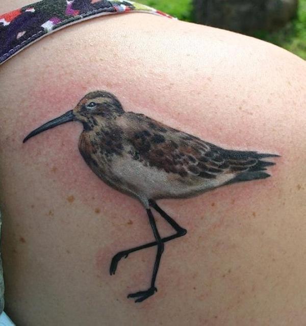 Tetovanie vtáka Sandpiper